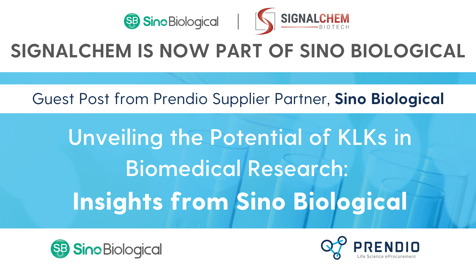 Sino Biological Guest Post (2)-1